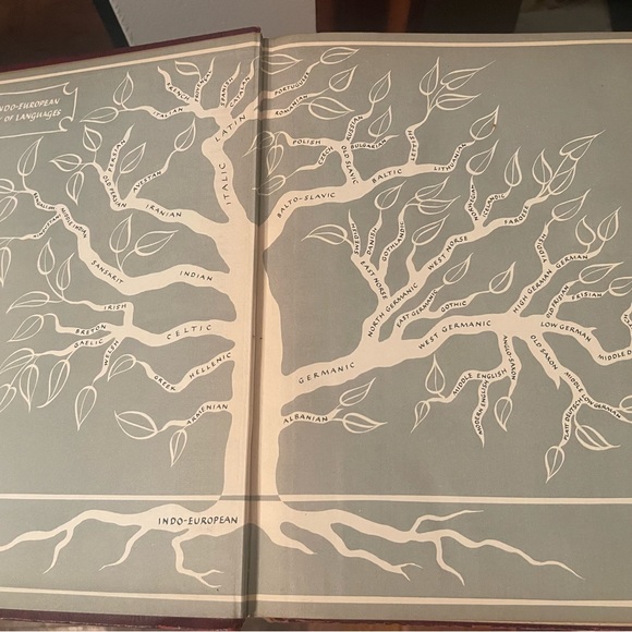 Webster’s New Twentieth Century Dictionary of the English Language Unabridged - Picture 2 of 16